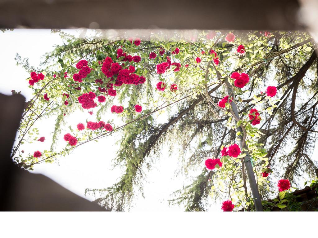 Bed and Breakfast Casa Fiorita Sant'Enea Exterior foto